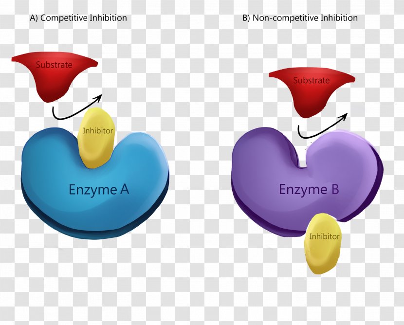 Enzyme Inhibitor Competitive Inhibition Allosteric Regulation Reaction - Activity Transparent PNG