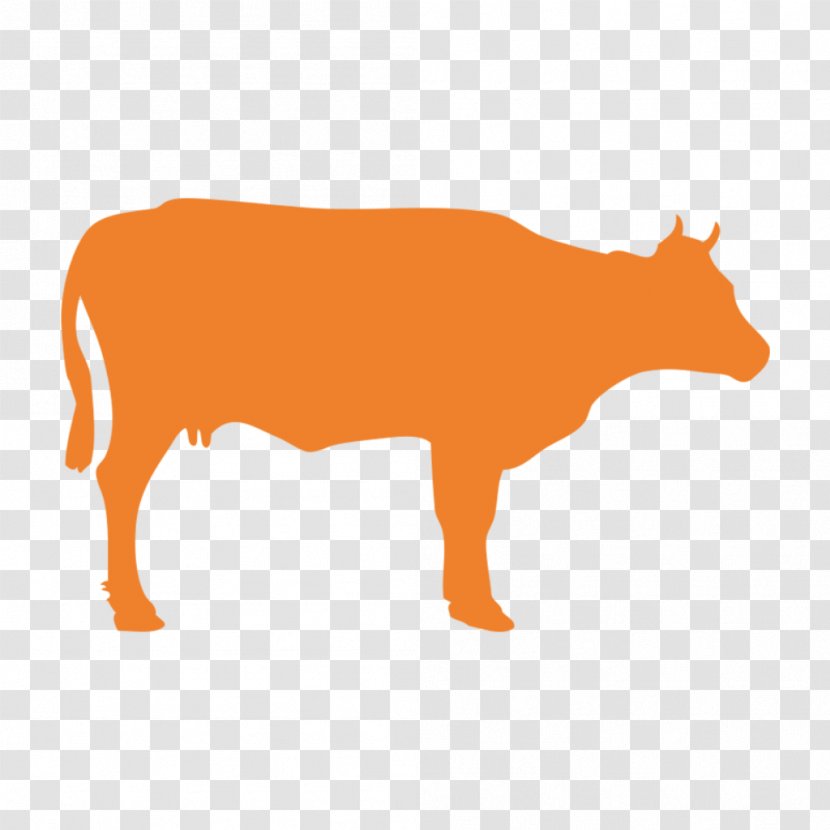 Holstein Friesian Cattle Welsh Black White Park Hereford Beef - Dog Like Mammal Transparent PNG
