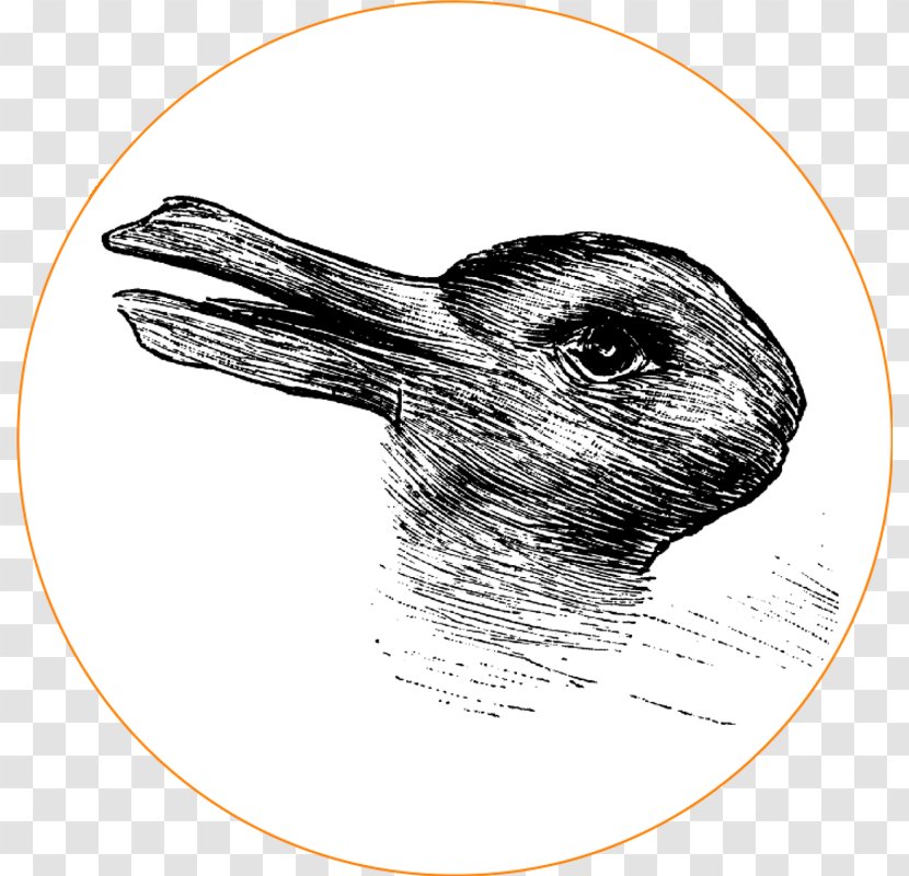 Rabbit–duck Illusion Yanny Or Laurel - Fauna - Duck Transparent PNG