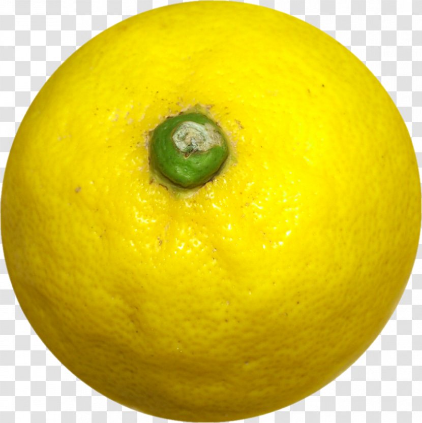 Sweet Lemon Persian Lime Key Citron Transparent PNG