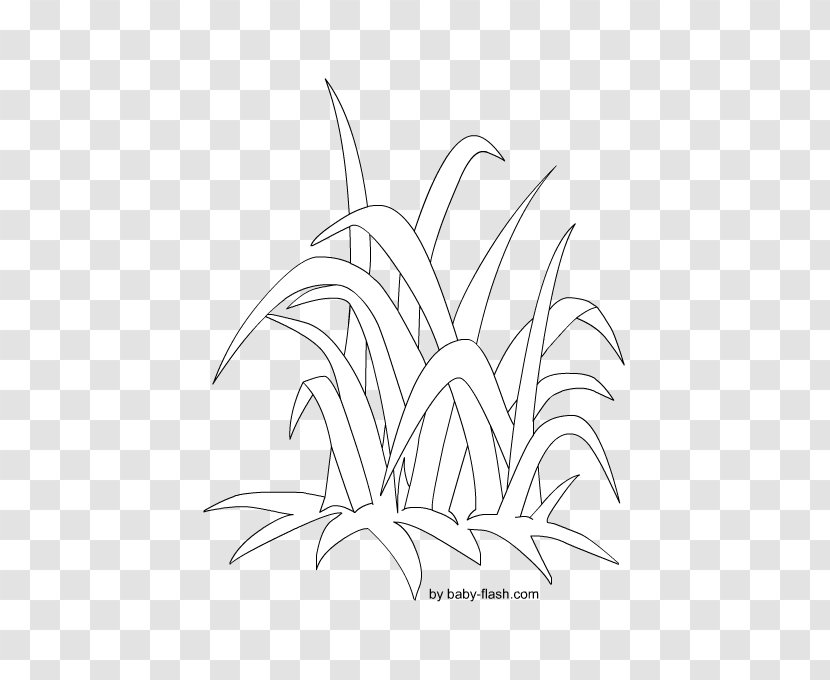 Plant Stem Line Art Leaf Sketch - Monochrome - White Transparent PNG