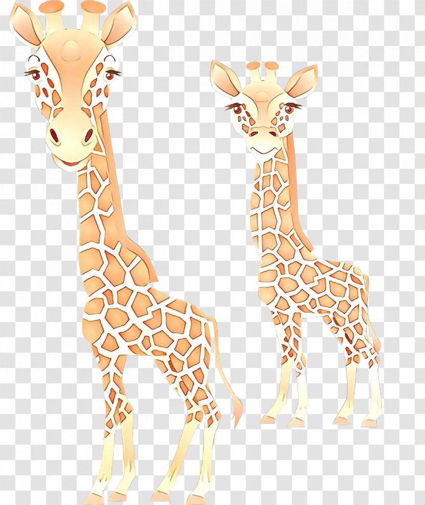 Giraffidae Giraffe Terrestrial Animal Wildlife Figure - Neck - Adaptation Transparent PNG