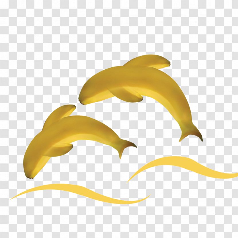 Banana Fruit - Auglis Transparent PNG