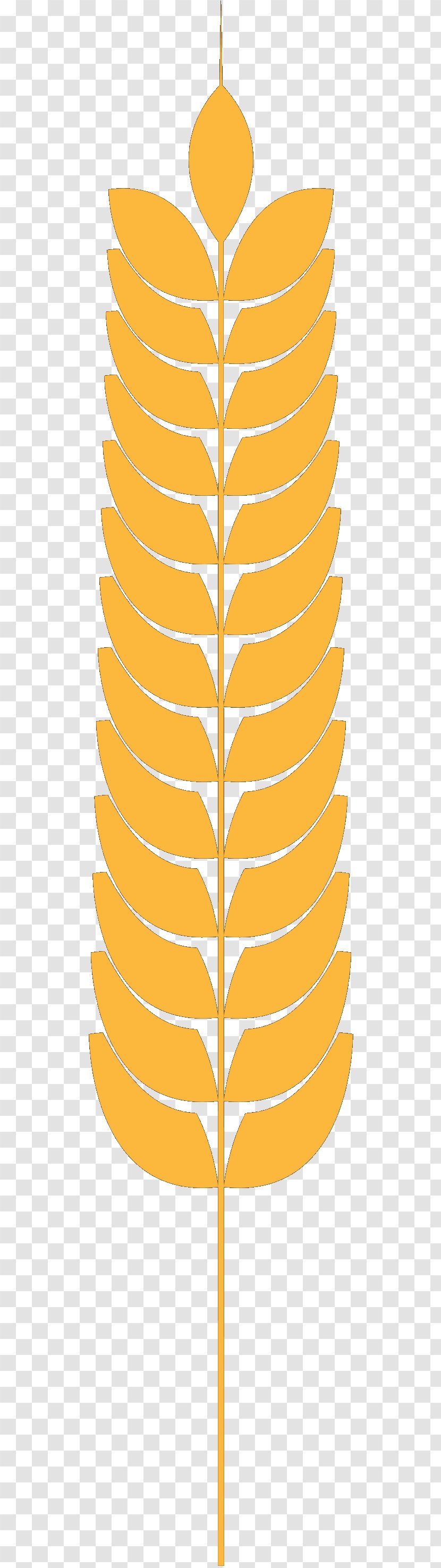 Leaf Line Angle Font Pattern - Botany - Orange Transparent PNG