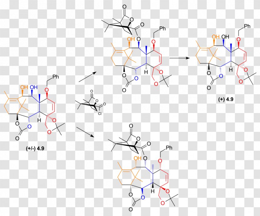 Paclitaxel Total Synthesis Nicolaou Taxol Enantiomer Camphorsulfonic Acid - Holton - Chromatography Column Transparent PNG