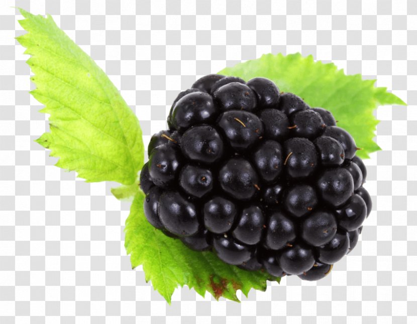 Boysenberry Grape Bilberry - Auglis Transparent PNG