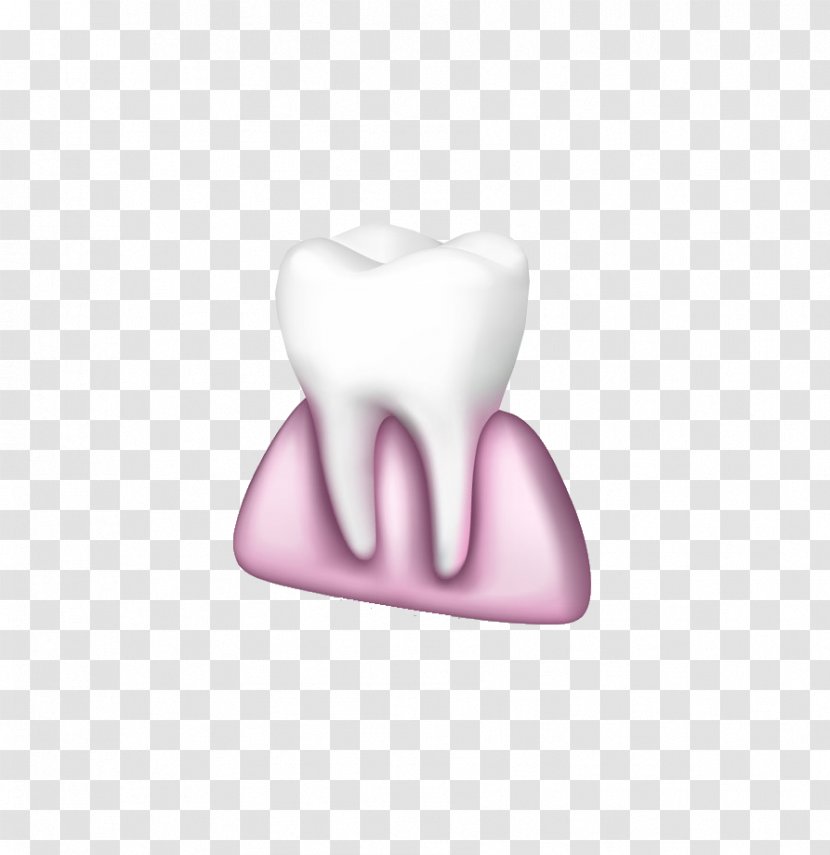Tooth 3D Computer Graphics Download - Silhouette - Teeth And Gums Transparent PNG