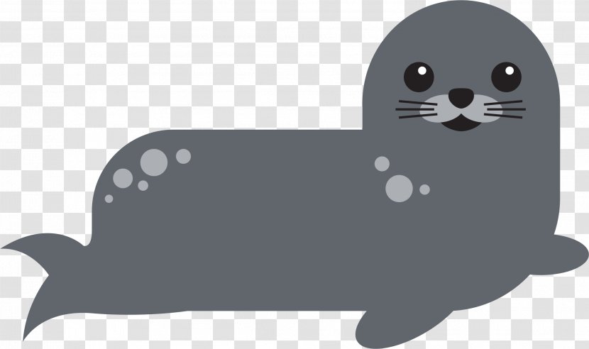 Harbor Seal Pinniped Clip Art Transparent PNG