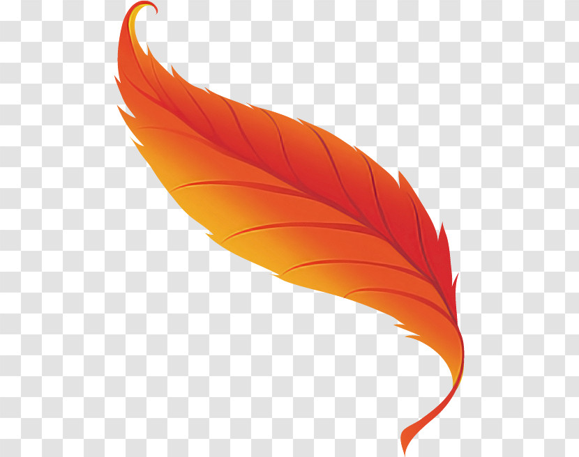 Feather Transparent PNG