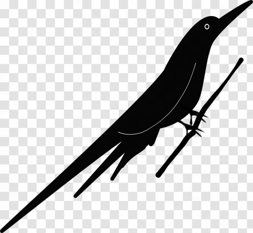 Bird Beak Drawing Clip Art - Animal Silhouettes Transparent PNG