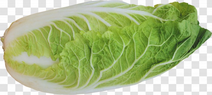 Fruit Salad Chinese Chicken Macaroni Coleslaw - Romaine Lettuce - Image Transparent PNG