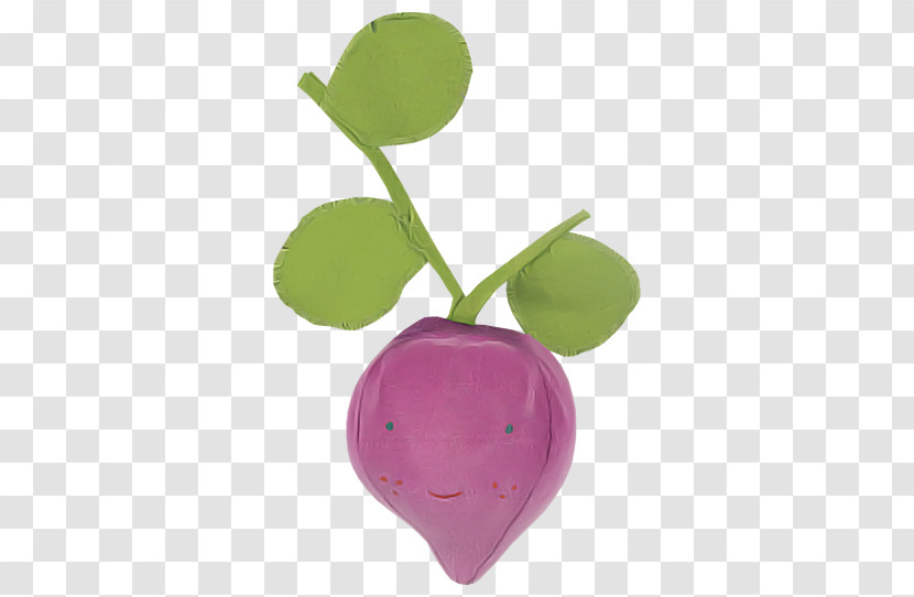 Violet Purple Radish Leaf Plant Transparent PNG