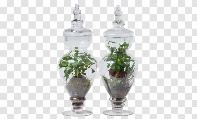 Vase Glass Flowerpot Houseplant - Tableware - Mason Jar Transparent PNG