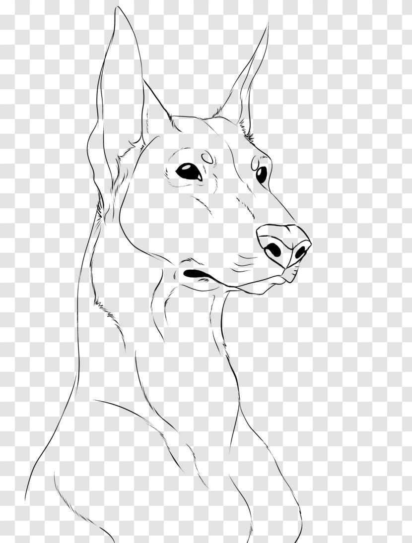 Dobermann German Shepherd Drawing Line Art Sketch - Carnivoran - Artwork Transparent PNG