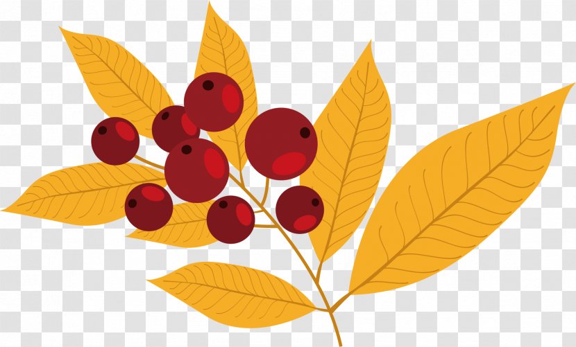 Frutti Di Bosco Auglis Autumn - Berry - Vector Hand-painted Leaves With Berries Transparent PNG