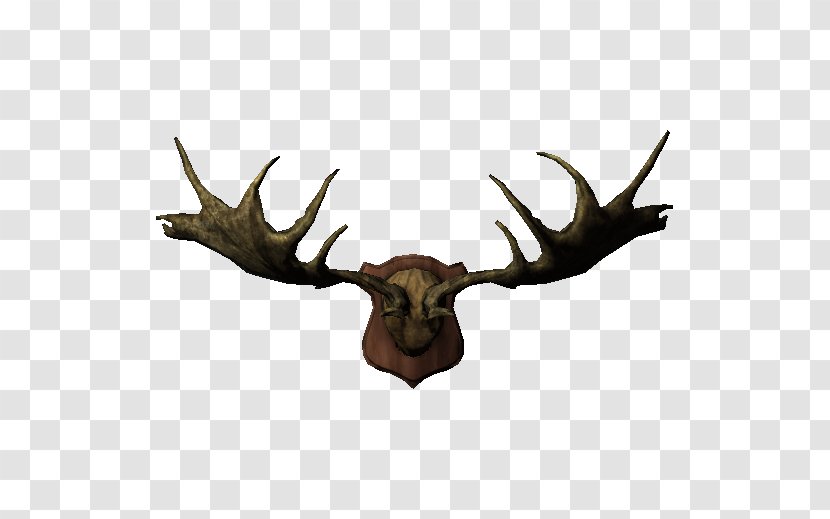 Elk Moose Trophy Hunting Horn - Antler Transparent PNG