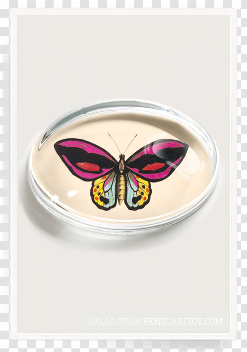 Paperweight Ben's Garden These Are Great Days Crystal - Invertebrate - Butterfly Aestheticism Transparent PNG