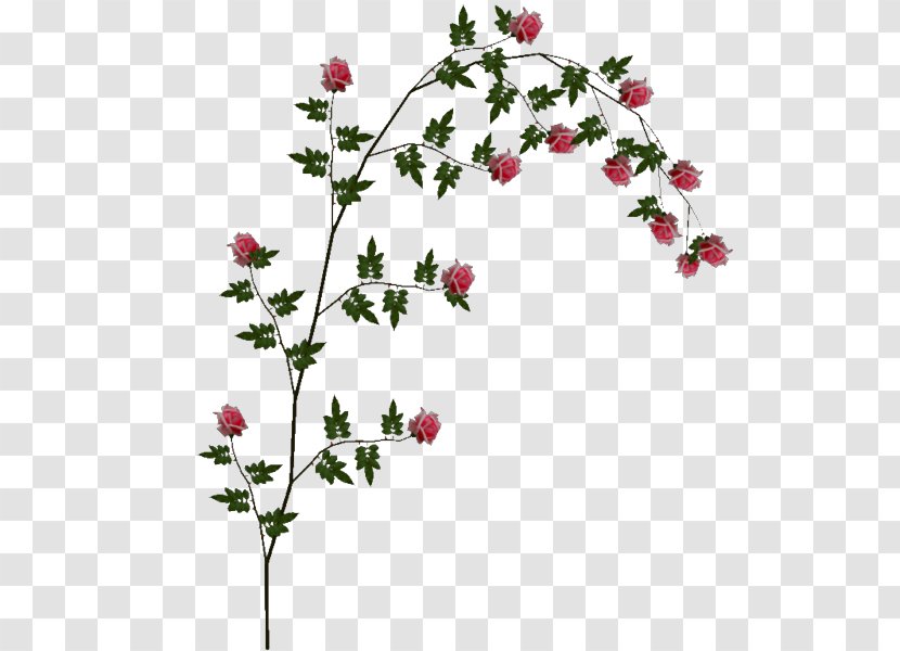 Rose Clip Art - Floristry Transparent PNG