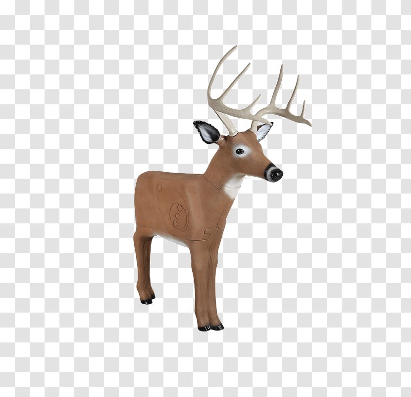 Reindeer White-tailed Deer Target Archery Bowhunting Transparent PNG