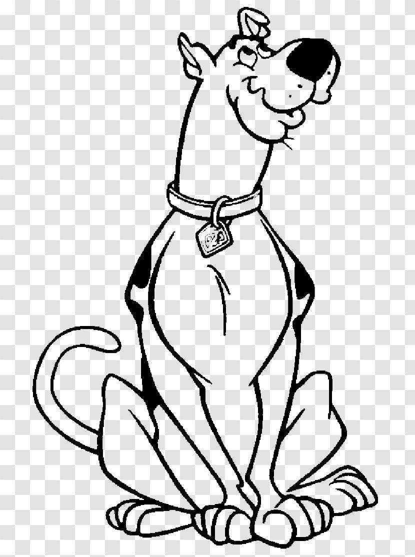 Shaggy Rogers Scooby-Doo Drawing Coloring Book - Macropodidae - Scoobydoo In Where's My Mummy Transparent PNG