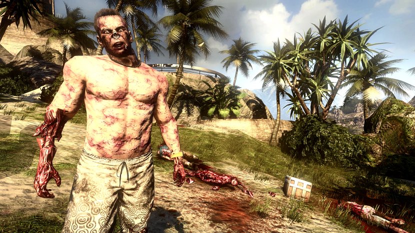 Plant Tree Arecales - Grass - Dead Island Transparent PNG