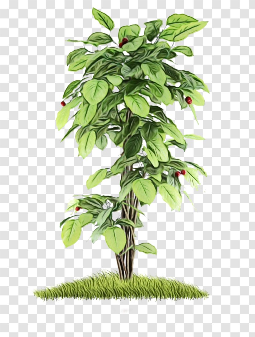 Flower Tree - Agriculture - Herb Branch Transparent PNG
