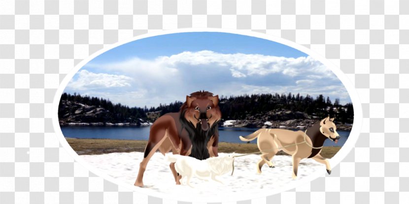 Horse Dog Cattle Wildlife Mammal Transparent PNG