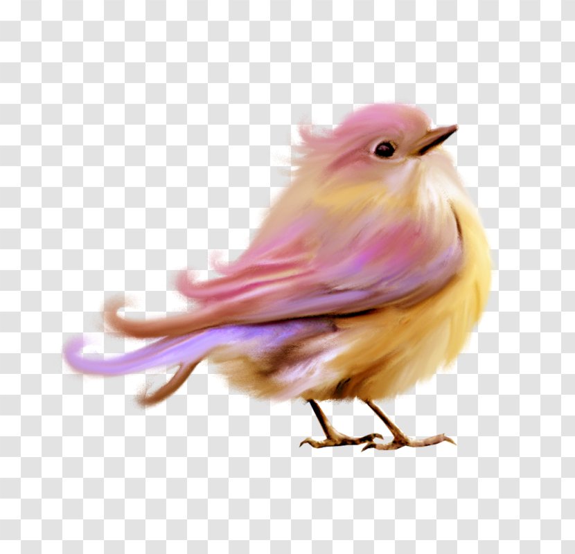 Lovebird Purple Clip Art - Feather - Cute Little Birds Transparent PNG