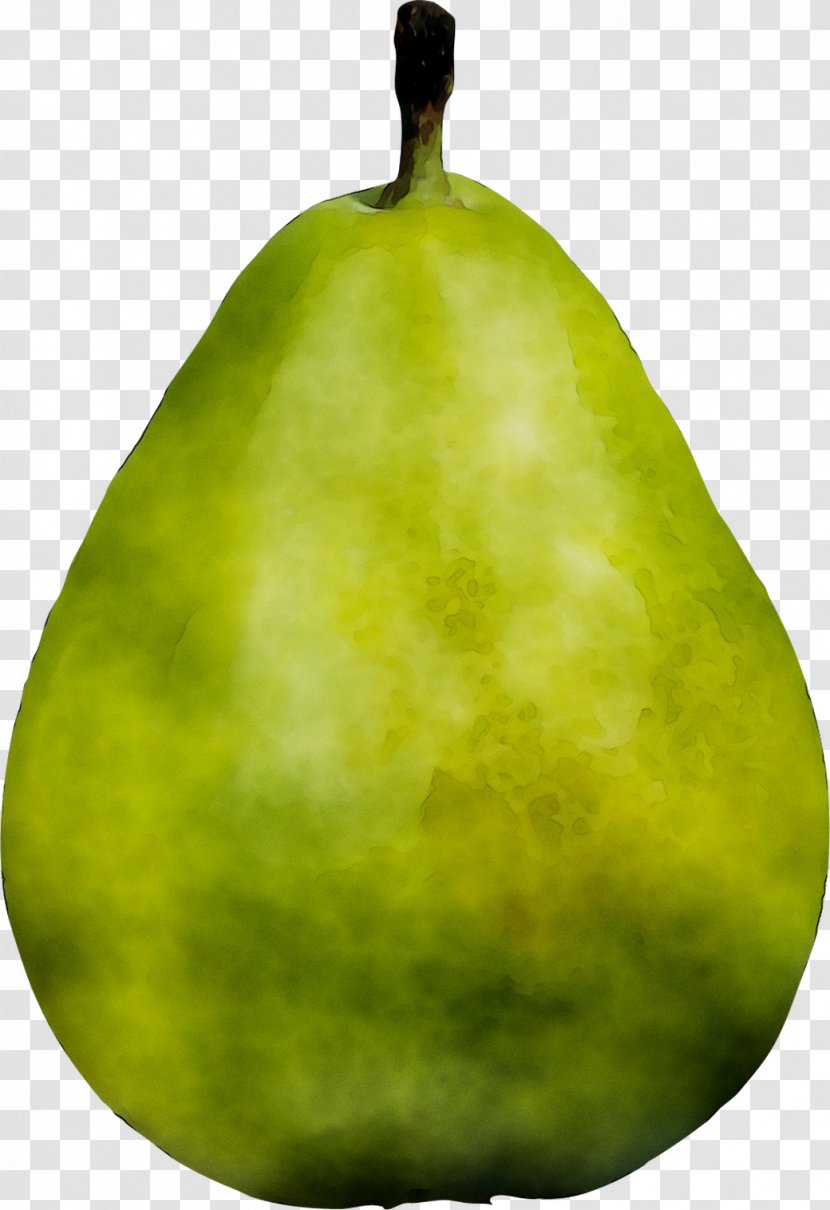 Pear Fahrenheit - Accessory Fruit Transparent PNG