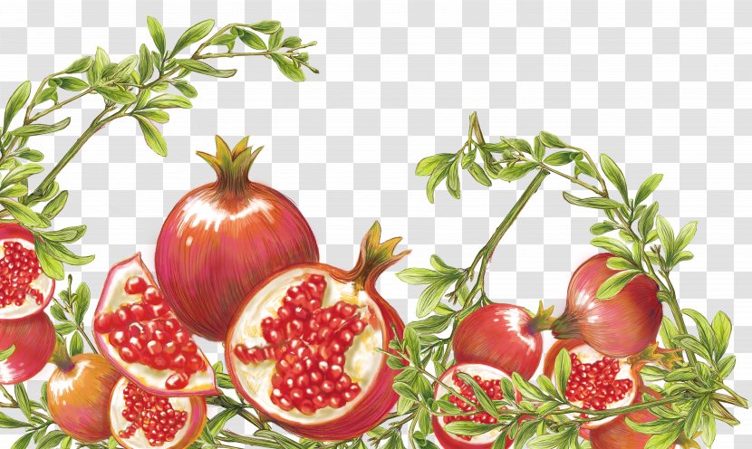 Pomegranate Tomato Food - Plant Transparent PNG