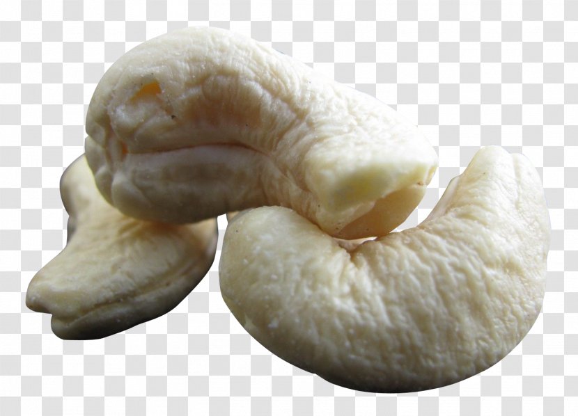 Cashew Nut - Walnut - Food Transparent PNG