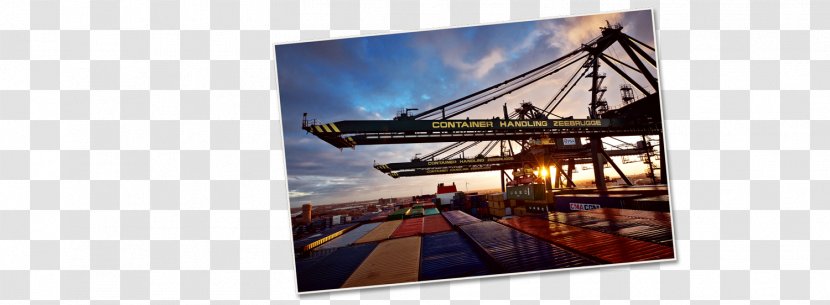Travel Voyage En Cargo Mode Of Transport Port Zeebrugge Transparent PNG