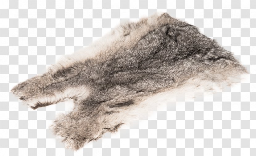 Amazon.com Hasenfell Rabbit Hair Fur Chinchilla - Wool Transparent PNG