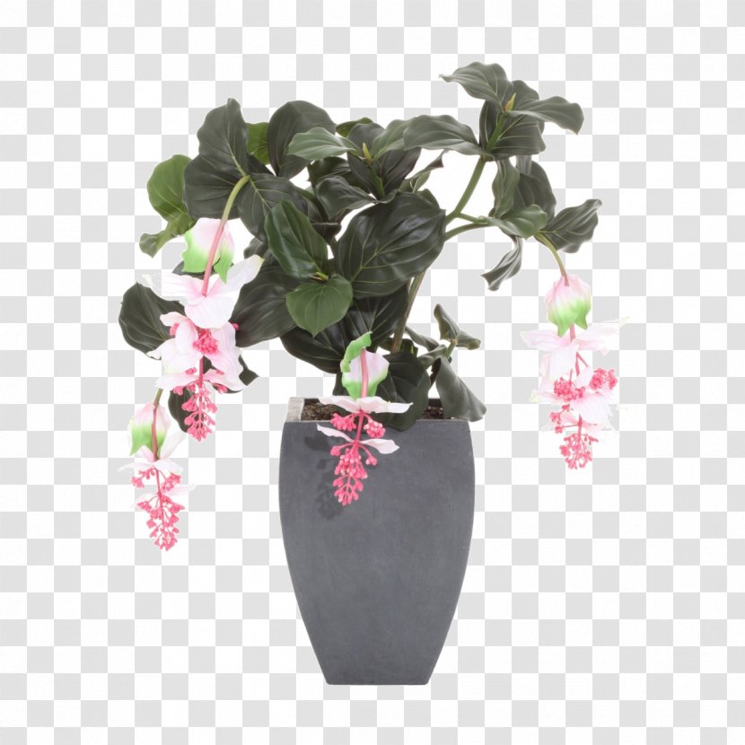 Cut Flowers Vase Floral Design Artificial Flower - Houseplant - Medinilla Grossissement Transparent PNG