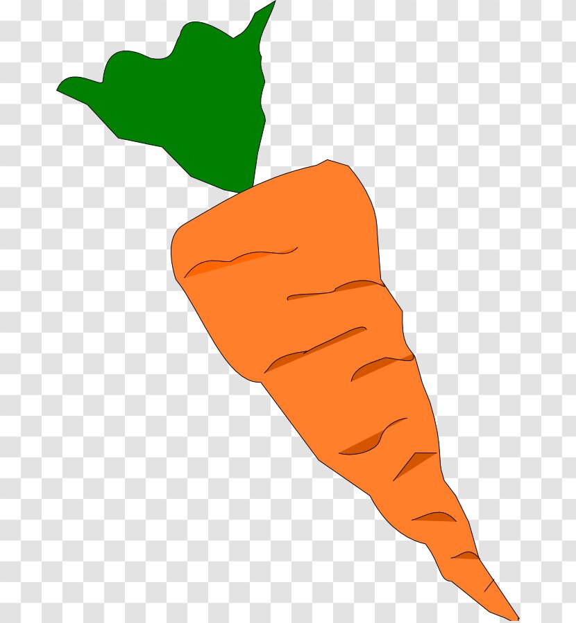Healthy Food - Carrot Cake - Leaf Vegetable Side Dish Transparent PNG