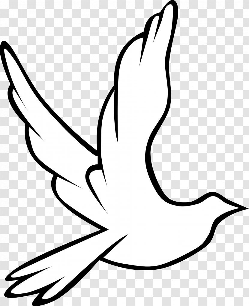 Holy Spirit In Christianity Doves As Symbols Drawing Clip Art - Dove Images Pictures Transparent PNG