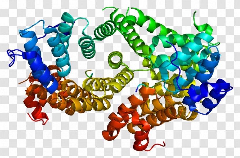 PEX5 Peroxisome Protein PEX12 Gene - Flower - Proliferatoractivated Receptor Transparent PNG