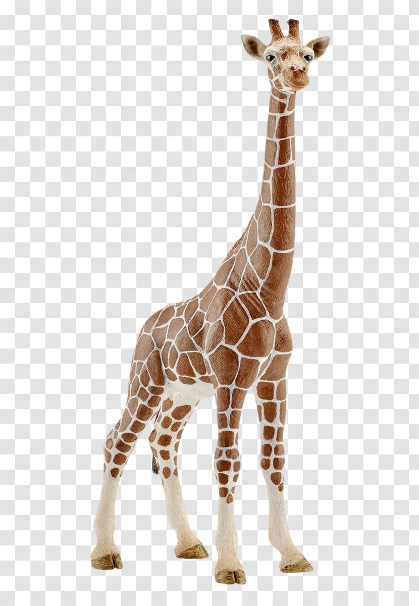 Giraffe Schleich Calf Amazon.com Toy - Retail Transparent PNG