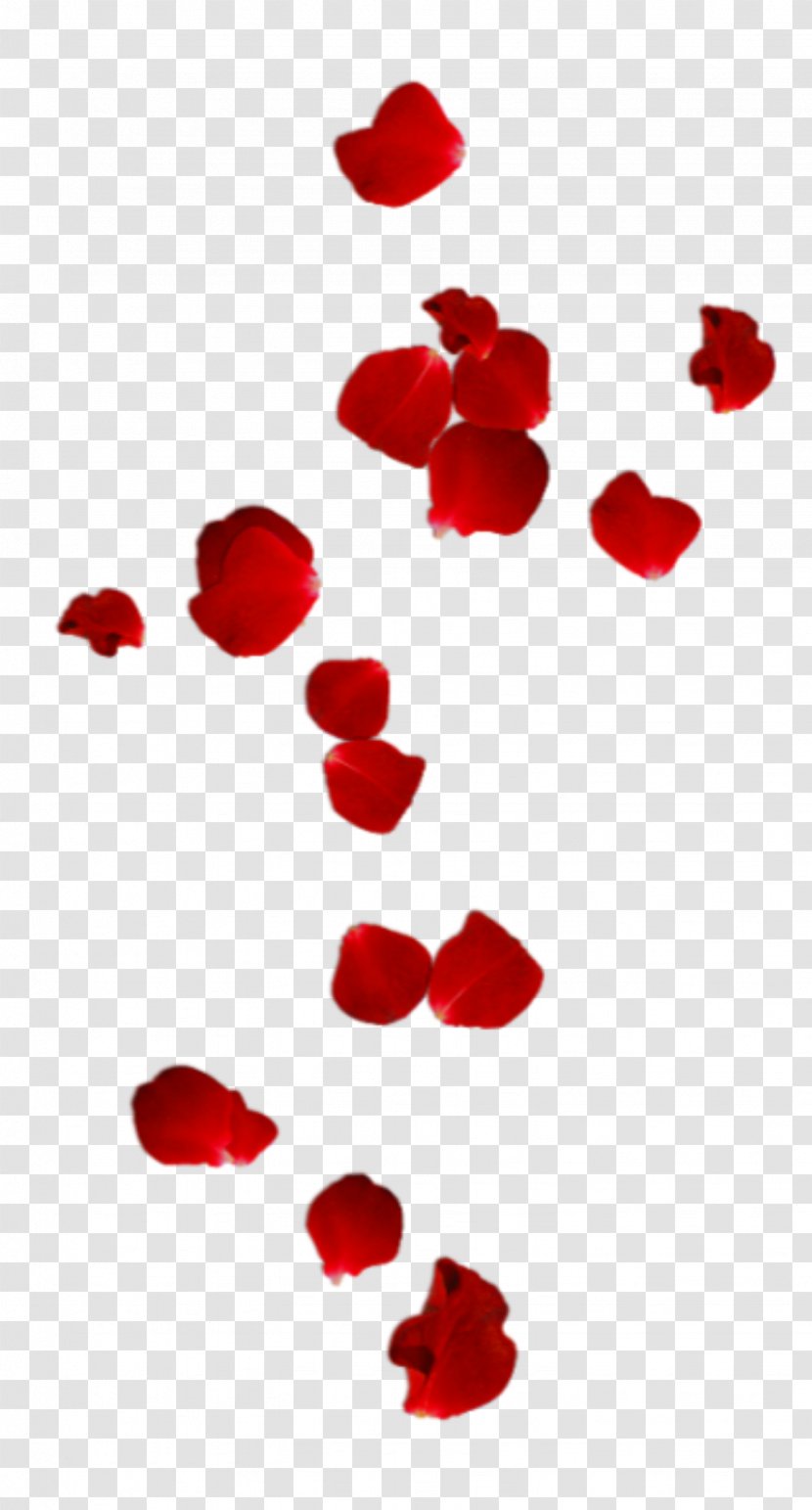Valentine's Day - Love - Flower Transparent PNG