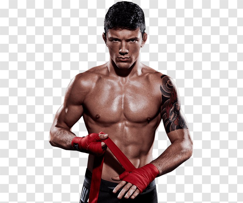 Bruno Pucci Mixed Martial Arts Evolve MMA Boxing - Tree - Fighter Transparent PNG