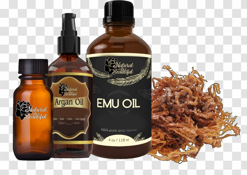 Pound Flavor Cancer Article - Drug - Herb Oil Transparent PNG