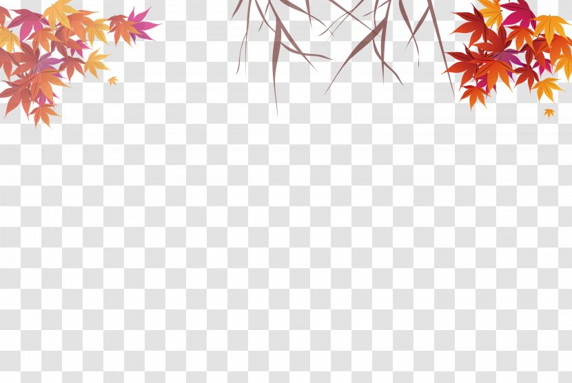 Autumn Leaves Maple Leaf - Deciduous - Colored Transparent PNG