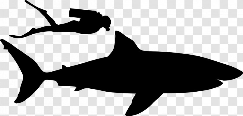 Shark Clip Art Fauna Silhouette Marine Mammal - Dolphin Transparent PNG