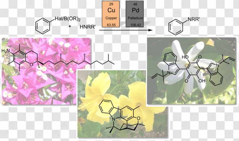 Floral Design Aromatic Amine Aryl Heterocyclic Compound Aromaticity - Substituent - Abstract Figure Shows Transparent PNG