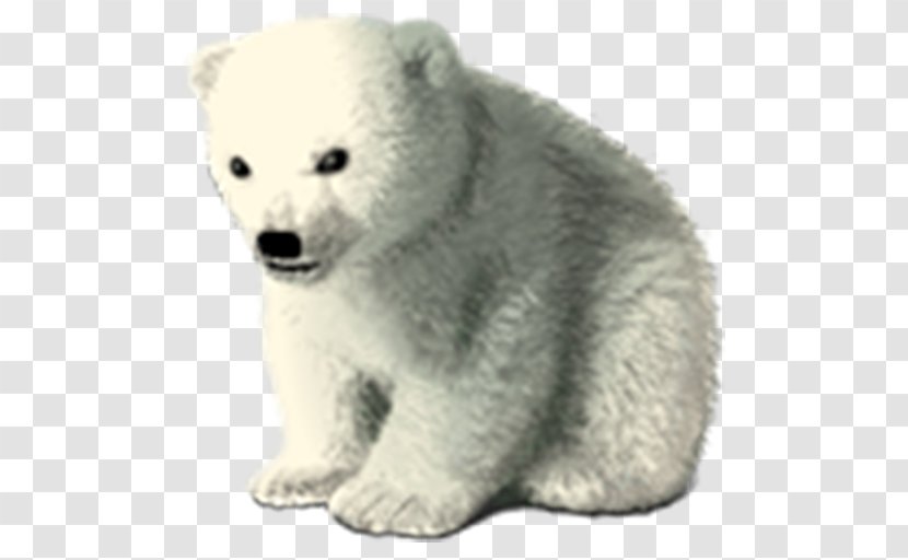 Polar Bear Clip Art - Terrestrial Animal Transparent PNG