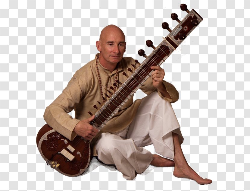 Sitar String Instruments Musical Surbahar Veena - Cartoon Transparent PNG