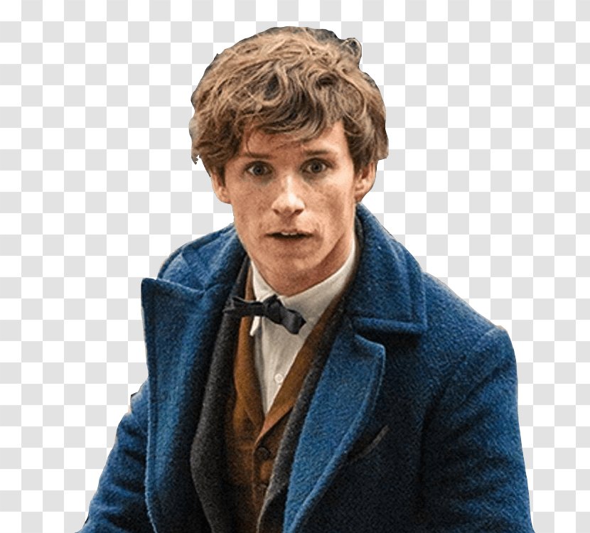 Fantastic Beasts And Where To Find Them Newt Scamander David Yates Albus Dumbledore - Harry Potter Transparent PNG