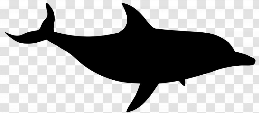 Dolphin Shark Clip Art Fauna Silhouette - Blue Whale - Cetacea Transparent PNG