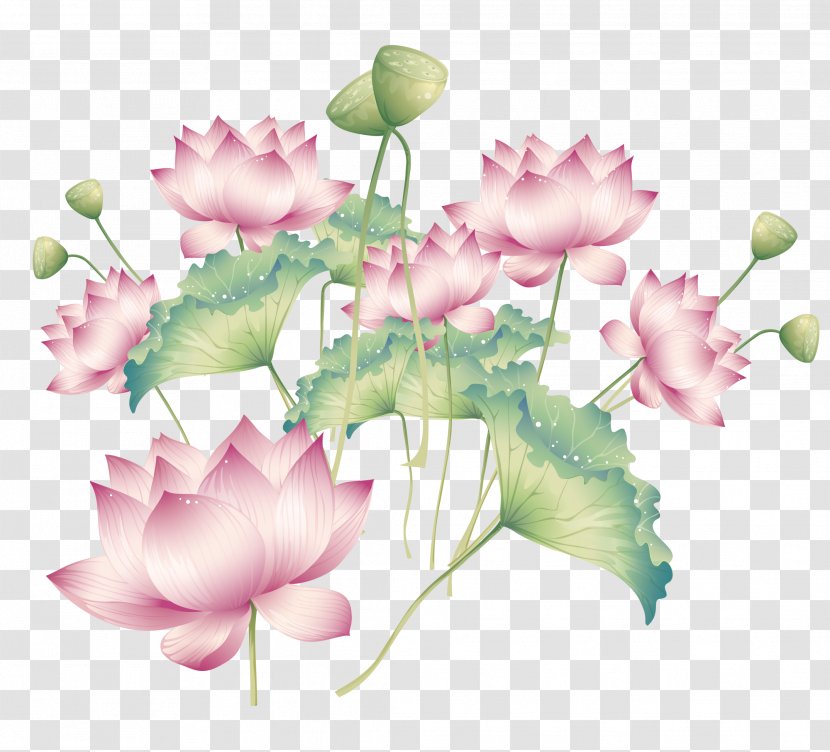 Buddhism Nelumbo Nucifera - Floral Design - Chinese Wind Vector Material Lotus Transparent PNG