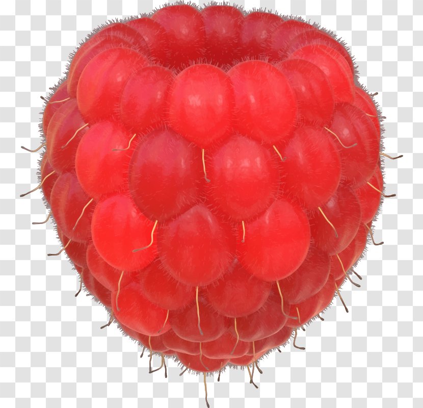 Raspberry Clip Art - Public Domain Transparent PNG